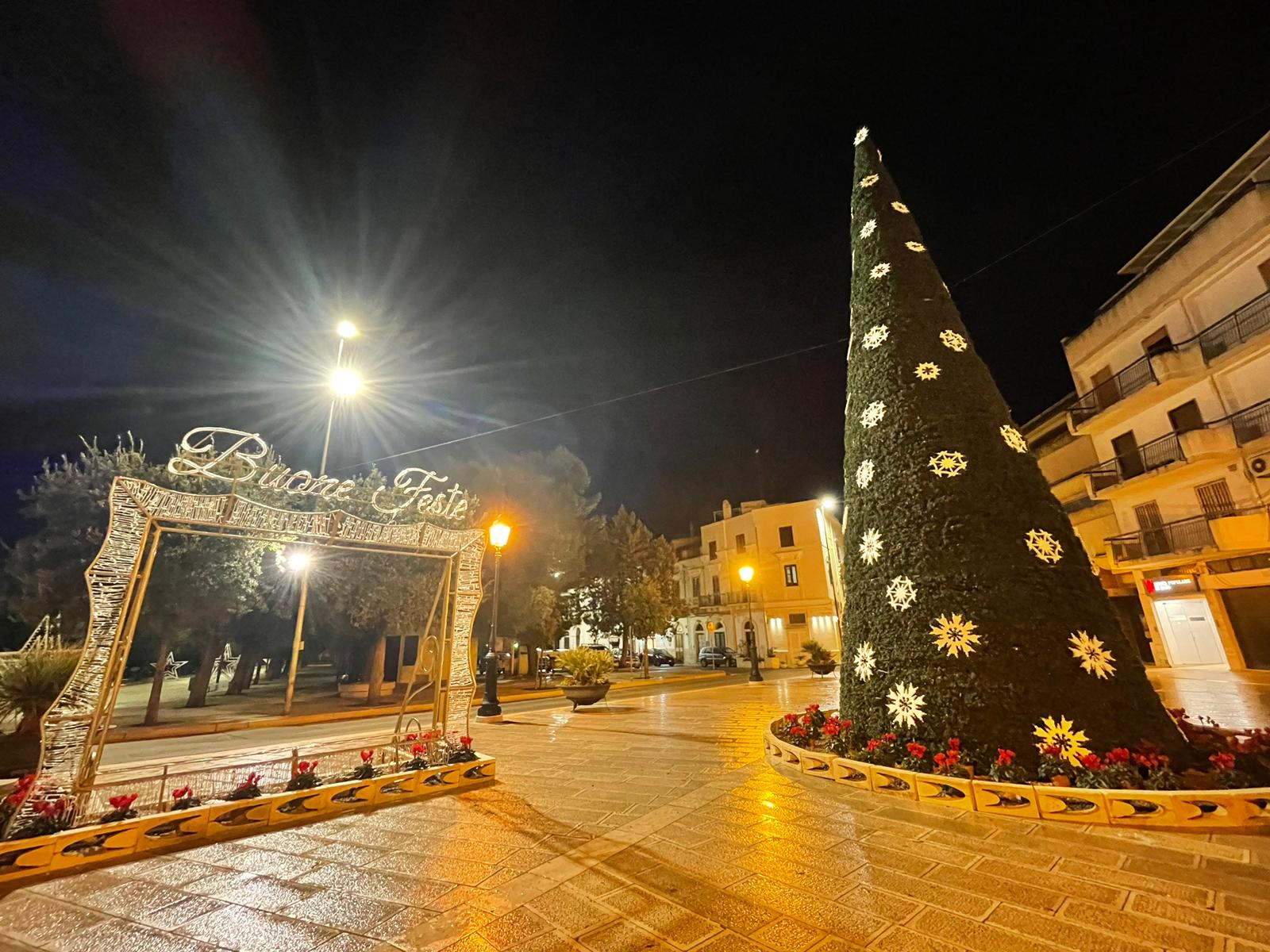 Arriva Il Natale A Rutigliano Il Dicembre Si Accende Lalbero In